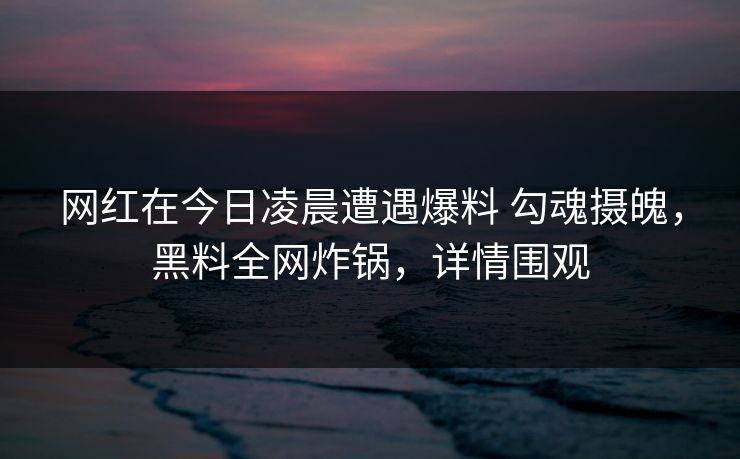 网红在今日凌晨遭遇爆料 勾魂摄魄,黑料全网炸锅,详情围观 网红在今日凌晨遭遇爆料 勾魂摄魄,黑料全网炸锅,详情围观