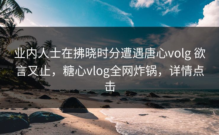 业内人士在拂晓时分遭遇唐心volg 欲言又止，糖心vlog全网炸锅，详情点击